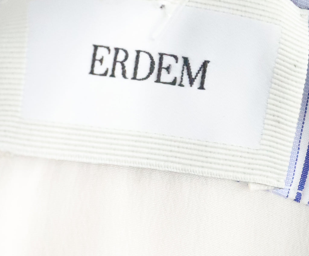 Erdem Blue & White Stripe Embroidered Dress 3